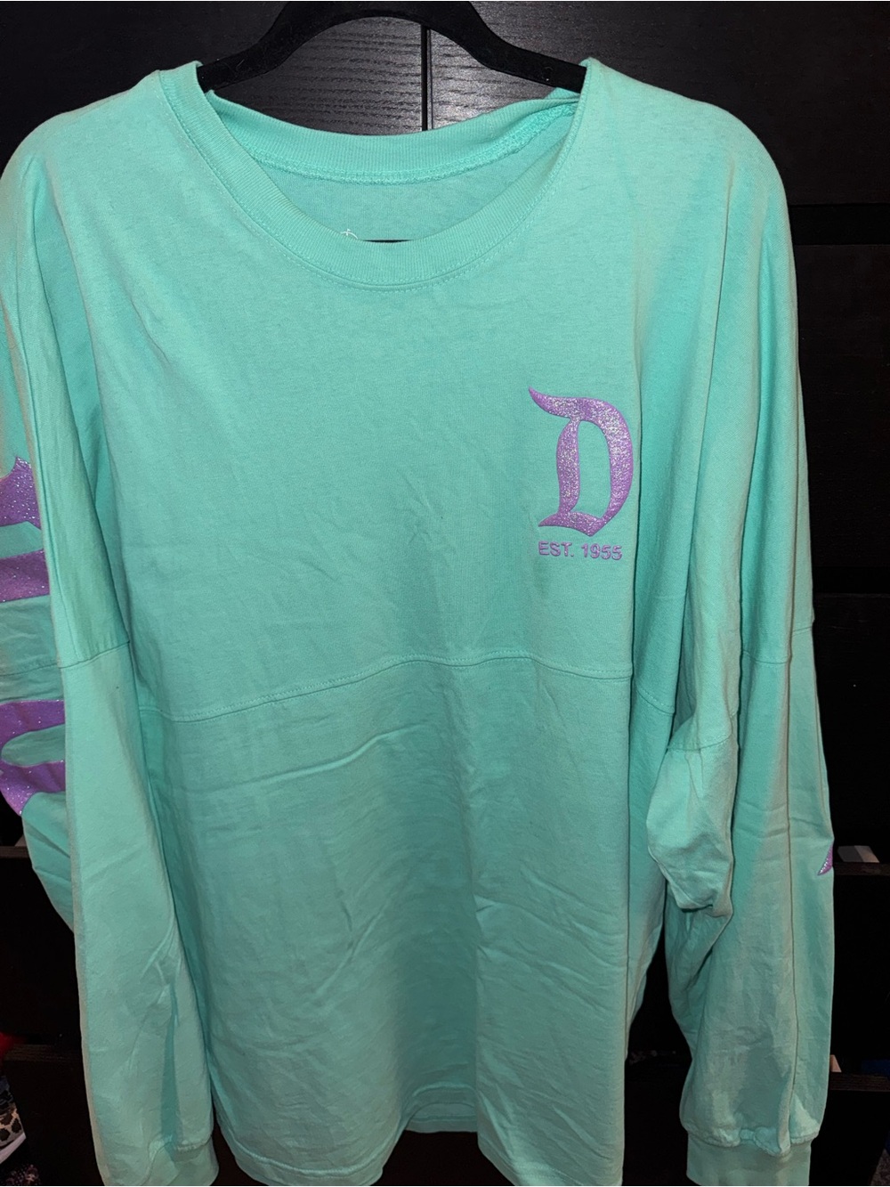 Disney Mint Green Long Sleeve Jersey with Purple 'D' Logo